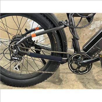 Rad Power E-Bike