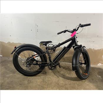 Rad Power E-Bike