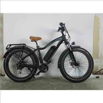 Rad Power E-Bike