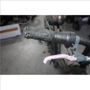 RAD Power RoadRunner Electric Bike