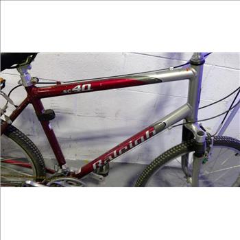 Raleigh Mountain Bike