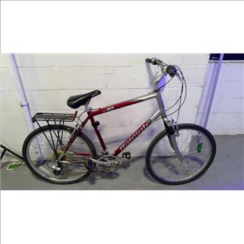Raleigh Mountain Bike