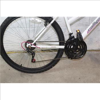 Rallye Descent Mountain Bike