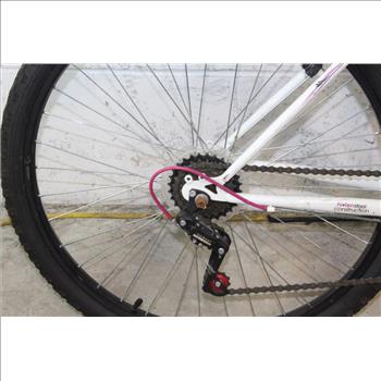Rallye Descent Mountain Bike