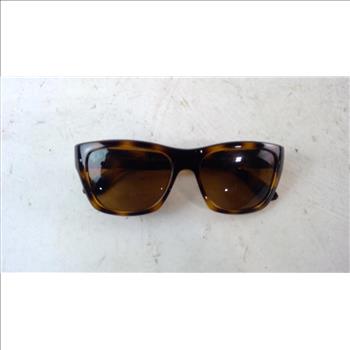 Rayban Mens  Sunglasses