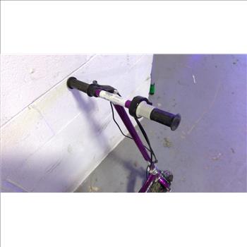 Razor Electric Scooter