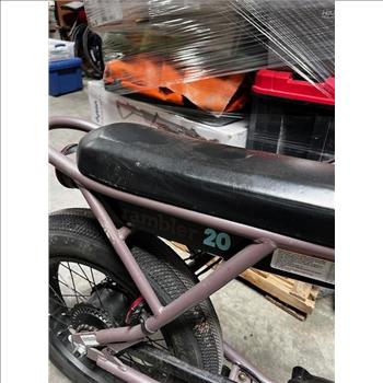 Razor Rambler 20 E-Bike