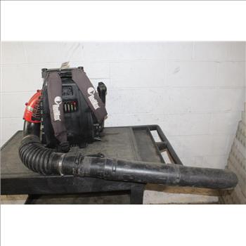 RedMax Backpack Blower