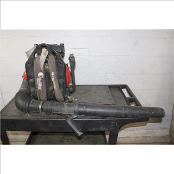 RedMax Backpack Blower