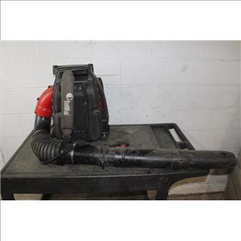 RedMax Backpack Blower