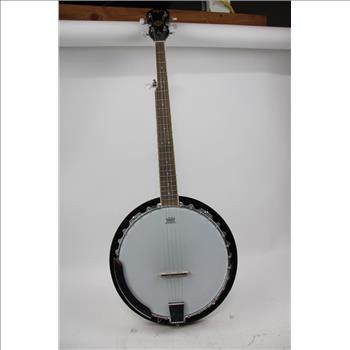 Remo Weather King Banjo Head