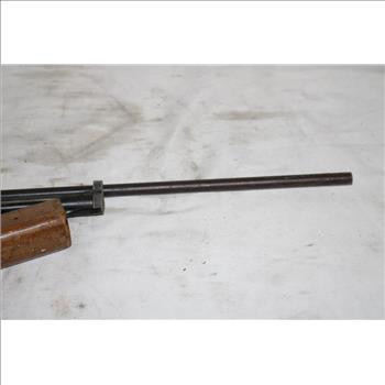 Revelation Pump Pellet Rifle