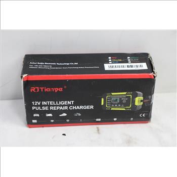 RJ Tianye 12V Intelligent Pulse Repair Charger