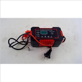 RJTianye 12V Intelligent Pulse Repair Charger