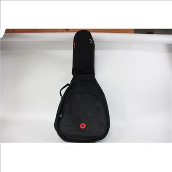 Road Runner Guitar Case