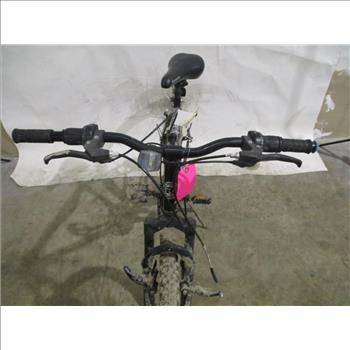 Roadmaster Mountain Bike