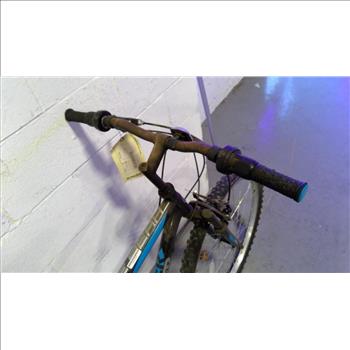 Roadmaster Mountain Bike