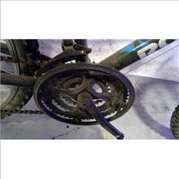 Roadmaster Mountain Bike