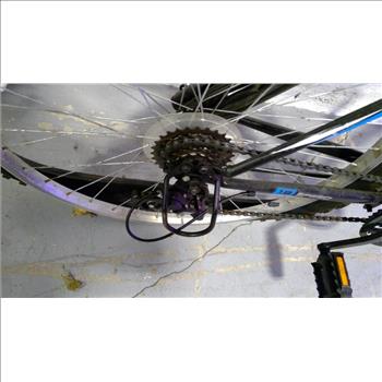 Roadmaster Mountain Bike