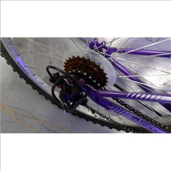 Roadmaster Mountain Bike