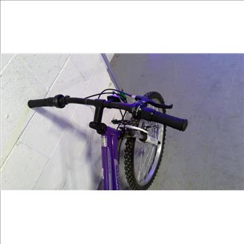 Roadmaster Mountain Bike
