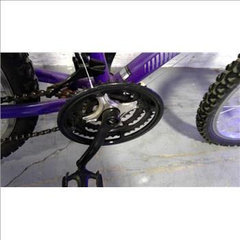 Roadmaster Mountain Bike