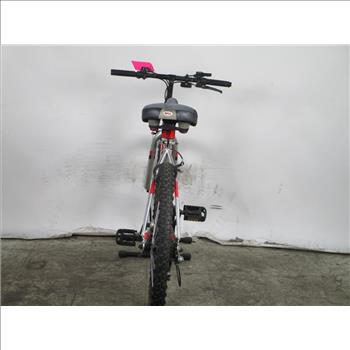 RoadMaster MT Fury Urban Bike