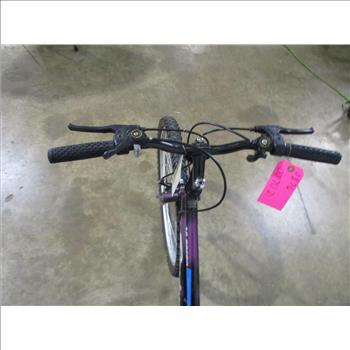 Roadmaster Urban Bike