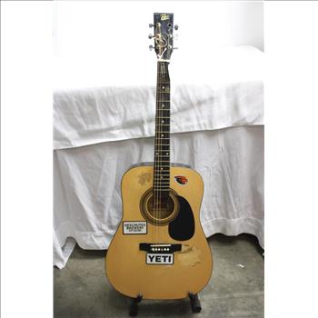 Rogue Dreadnought Acoustic Guitar