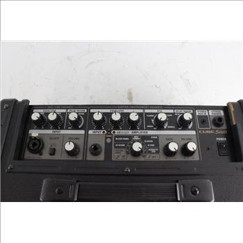 Roland Two-Channel Battery Powered Amplifier