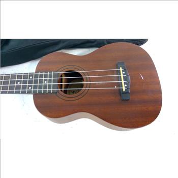 Samich  Acoustic Guitar