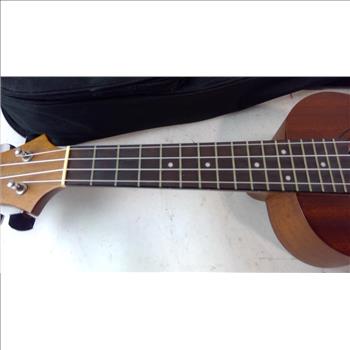 Samich  Acoustic Guitar