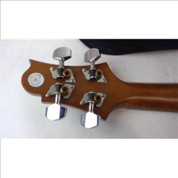 Samich  Acoustic Guitar
