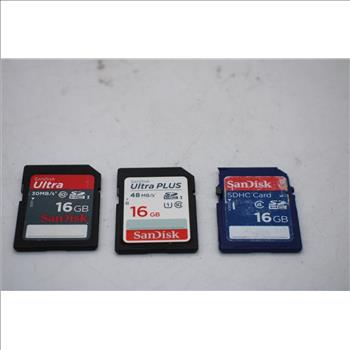 SanDisk SDHC Bulk Lot, 3 Pieces