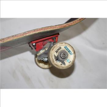 Santa Cruz Complete Skateboard