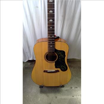 Sawtooth Acoustic Guitar