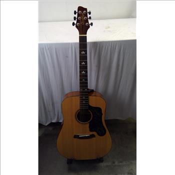 Sawtooth Acoustic Guitar