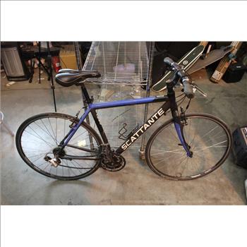 Scattante F330 Road Bike