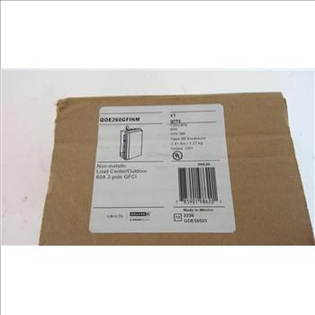 Schneider Electrics 2 Pole GFCI