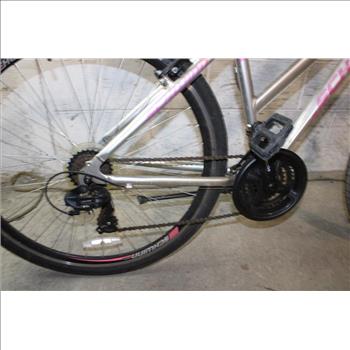 Schwinn Connection Hybrid Bike