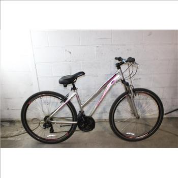 Schwinn Connection Hybrid Bike