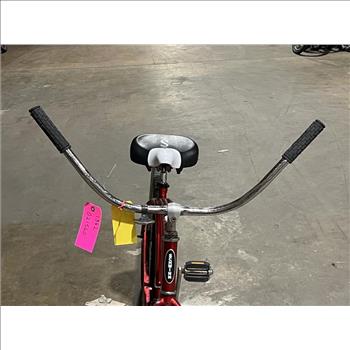 Schwinn Cruiser Bike