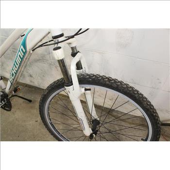 Schwinn DSB Hybrid Bike