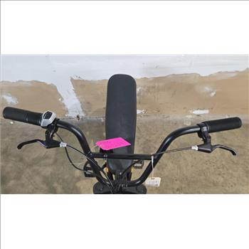 Schwinn E-Bike