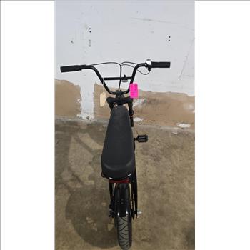 Schwinn E-Bike