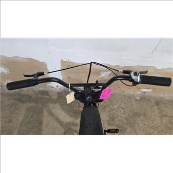 Schwinn E-Bike