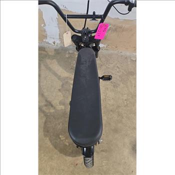 Schwinn E-Bike