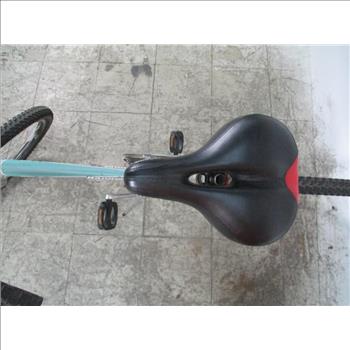 Schwinn Mountain Bike