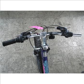 Schwinn Mountain Bike