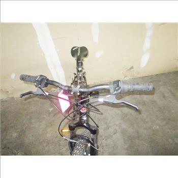 Schwinn Ranger Mountain Bike